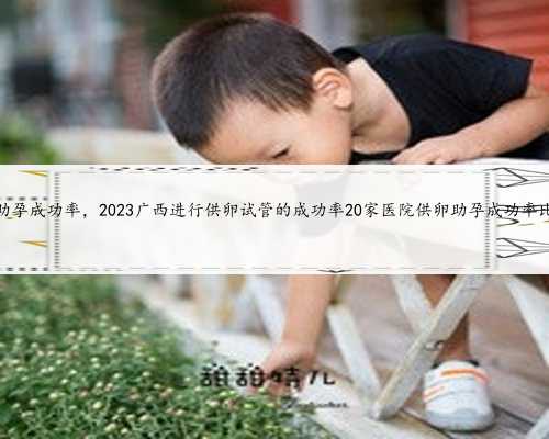 上海可以供卵试管生宝宝吗,探讨不孕不育现象的解决方法